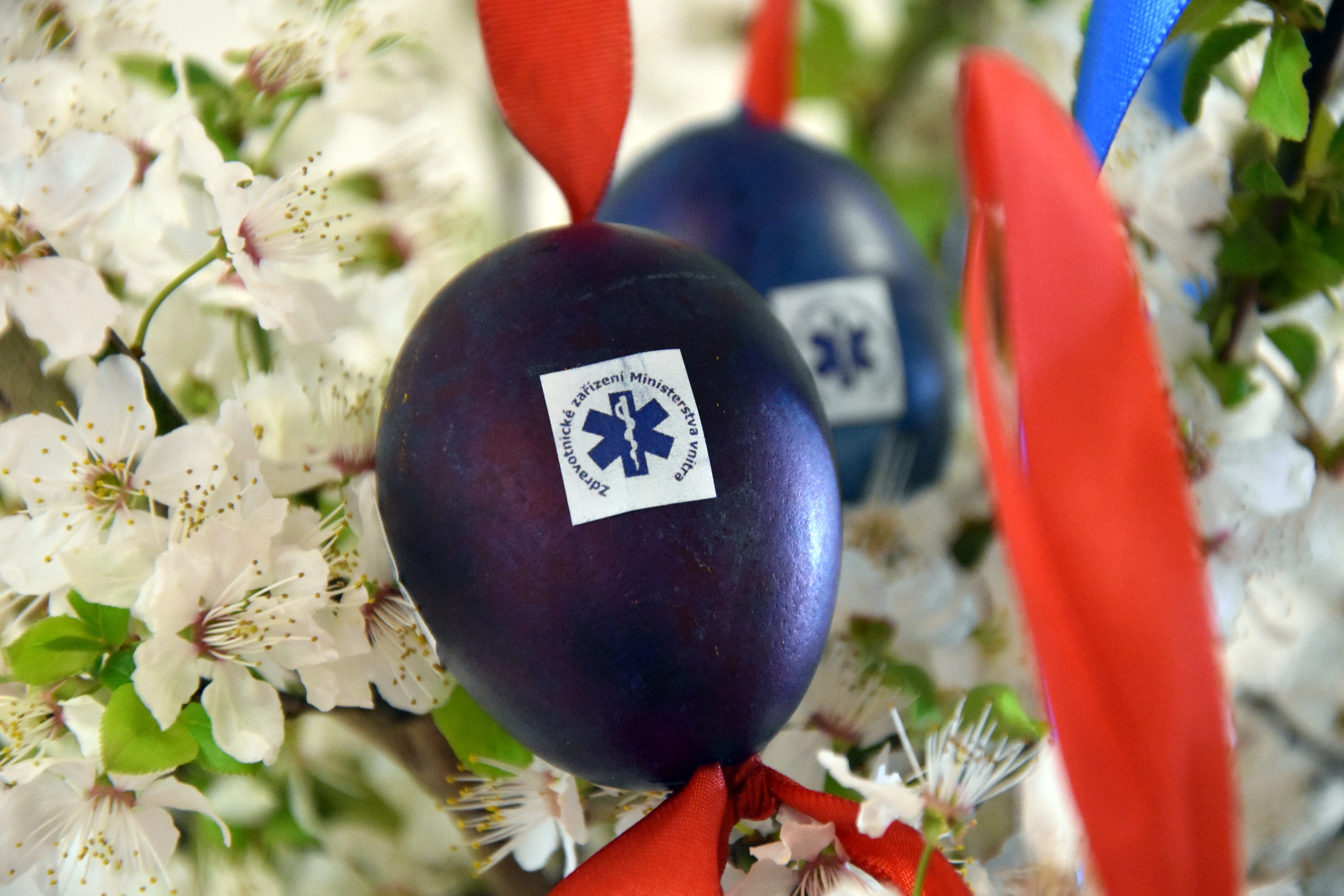 Veselé Velikonece všem