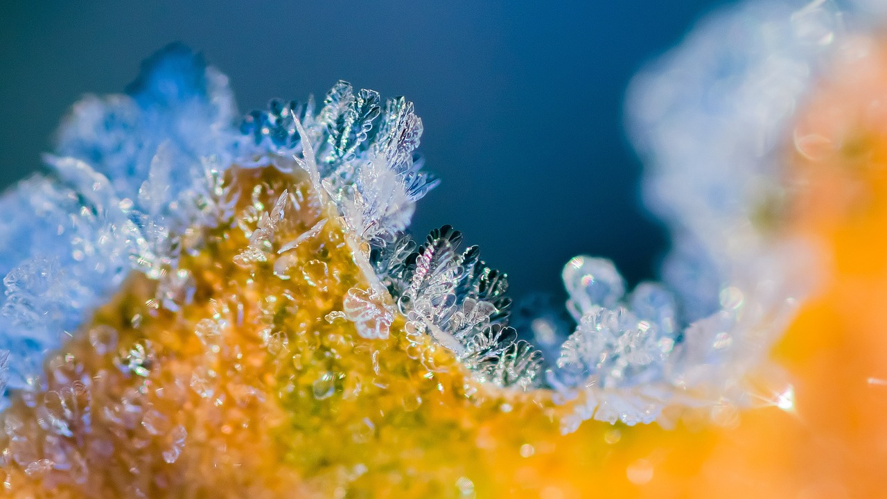 Možné změny v provozu našich ordinací