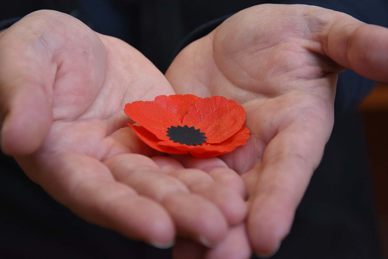 Mezinárodní den válečných veteránů si připomínají národy celého světa